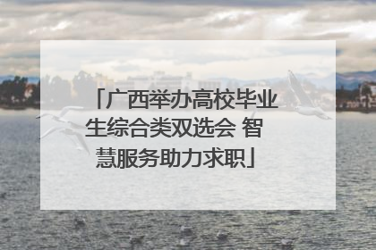 广西举办高校毕业生综合类双选会 智慧服务助力求职