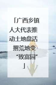 广西乡镇人大代表推动土地盘活 撂荒地变“致富园”