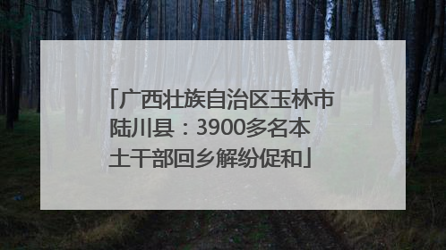 广西壮族自治区玉林市陆川县：3900多名本土干部回乡解纷促和