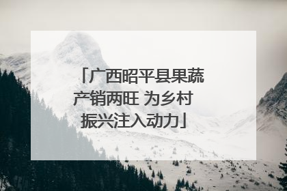 广西昭平县果蔬产销两旺 为乡村振兴注入动力