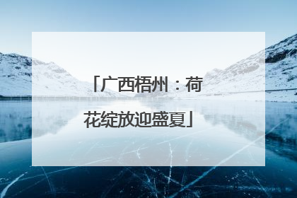 广西梧州：荷花绽放迎盛夏