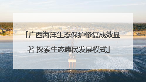 广西海洋生态保护修复成效显著 探索生态惠民发展模式