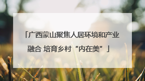 广西蒙山聚焦人居环境和产业融合 培育乡村“内在美”