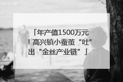 年产值1500万元！高兴镇小蚕茧“吐”出“金丝产业链”