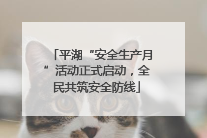 平湖“安全生产月”活动正式启动，全民共筑安全防线
