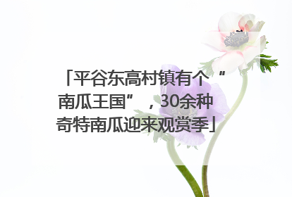 平谷东高村镇有个“南瓜王国”，30余种奇特南瓜迎来观赏季