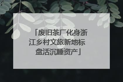 废旧茶厂化身浙江乡村文旅新地标 盘活沉睡资产