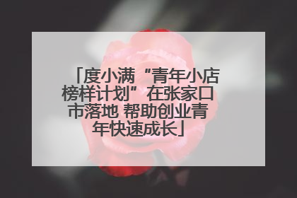 度小满“青年小店榜样计划”在张家口市落地 帮助创业青年快速成长