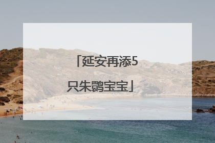 延安再添5只朱鹮宝宝