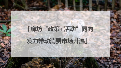 廊坊“政策+活动”同向发力带动消费市场升温