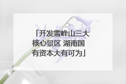 开发雪峰山三大核心景区 湖南国有资本大有可为