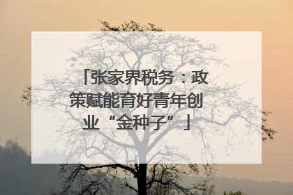 张家界税务：政策赋能育好青年创业“金种子”