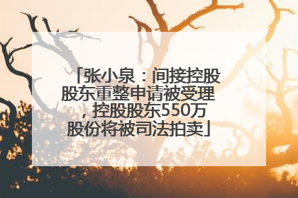 张小泉：间接控股股东重整申请被受理，控股股东550万股份将被司法拍卖