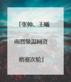 张帅、王曦雨晋级温网资格赛次轮