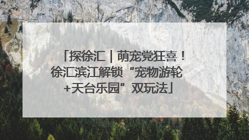 探徐汇｜萌宠党狂喜！徐汇滨江解锁“宠物游轮+天台乐园”双玩法