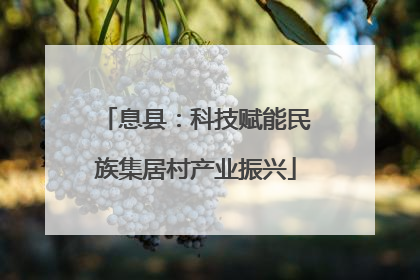 息县：科技赋能民族集居村产业振兴