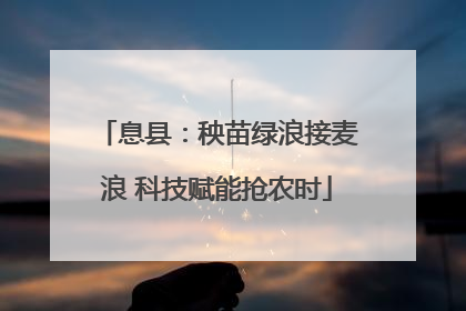 息县：秧苗绿浪接麦浪 科技赋能抢农时