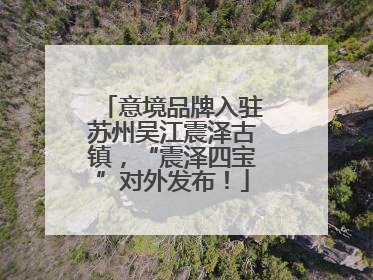 意境品牌入驻苏州吴江震泽古镇，“震泽四宝”对外发布！