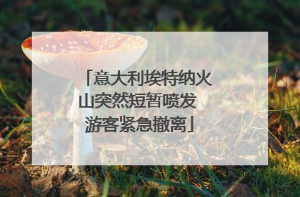 意大利埃特纳火山突然短暂喷发 游客紧急撤离