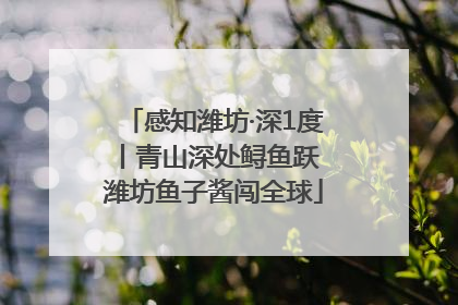 感知潍坊·深1度丨青山深处鲟鱼跃 潍坊鱼子酱闯全球