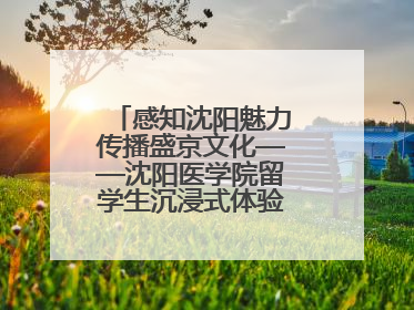 感知沈阳魅力传播盛京文化——沈阳医学院留学生沉浸式体验沈阳文旅特色