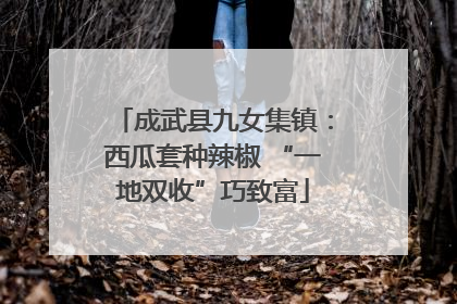 成武县九女集镇：西瓜套种辣椒 “一地双收”巧致富
