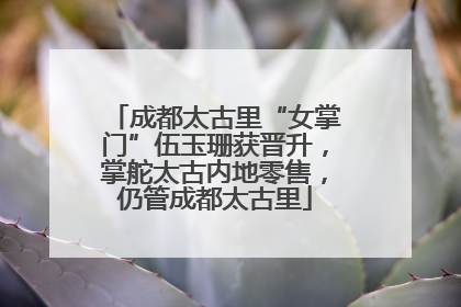 成都太古里“女掌门”伍玉珊获晋升，掌舵太古内地零售，仍管成都太古里