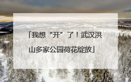 我想“开”了！武汉洪山多家公园荷花绽放