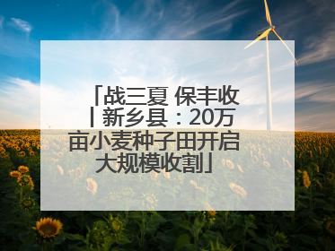 战三夏 保丰收丨新乡县：20万亩小麦种子田开启大规模收割