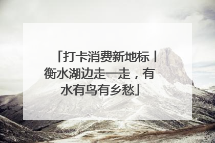 打卡消费新地标丨衡水湖边走一走，有水有鸟有乡愁