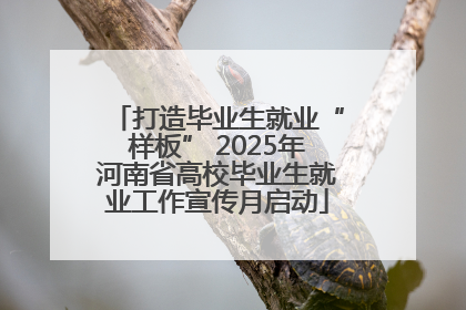 打造毕业生就业“样板” 2025年河南省高校毕业生就业工作宣传月启动