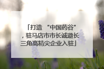 打造 “中国药谷”，驻马店市市长诚邀长三角高精尖企业入驻