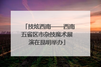 技炫西南——西南五省区市杂技魔术展演在昆明举办
