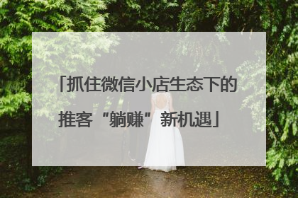抓住微信小店生态下的推客“躺赚”新机遇