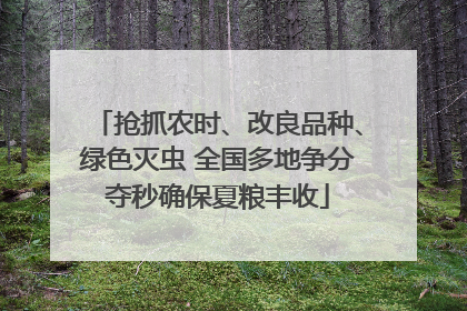 抢抓农时、改良品种、绿色灭虫 全国多地争分夺秒确保夏粮丰收