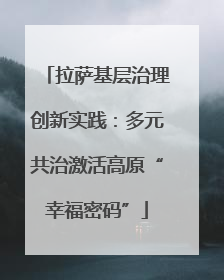 拉萨基层治理创新实践：多元共治激活高原“幸福密码”