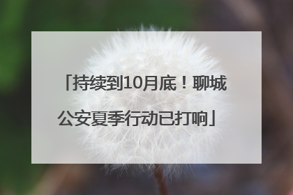 持续到10月底！聊城公安夏季行动已打响