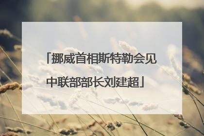 挪威首相斯特勒会见中联部部长刘建超