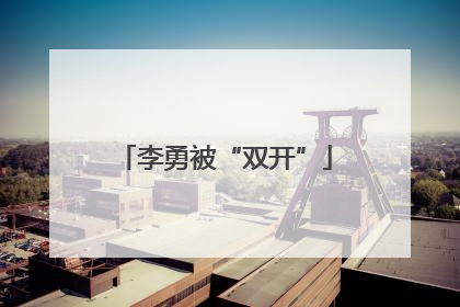 李勇被“双开”