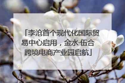 李沧首个现代化国际贸易中心启用，金水·伍合跨境电商产业园启航