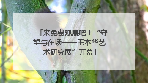 来免费观展吧！“守望与在场——毛本华艺术研究展”开幕