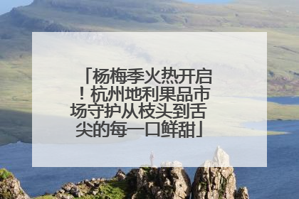 杨梅季火热开启！杭州地利果品市场守护从枝头到舌尖的每一口鲜甜