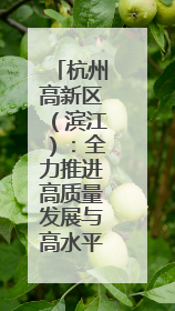 杭州高新区（滨江）：全力推进高质量发展与高水平安全“双向奔赴”