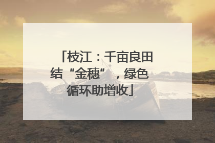 枝江：千亩良田结“金穗”，绿色循环助增收