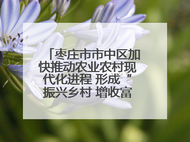 枣庄市市中区加快推动农业农村现代化进程 形成“振兴乡村 增收富农”新格局