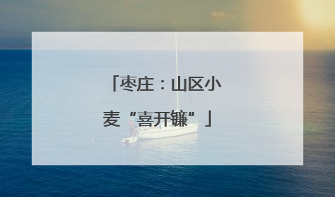 枣庄：山区小麦“喜开镰”