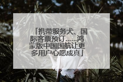 携带服务犬、国际客票预订……鸿蒙版中国国航让更多用户心愿成真