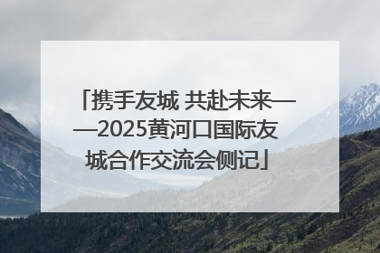 携手友城 共赴未来——2025黄河口国际友城合作交流会侧记