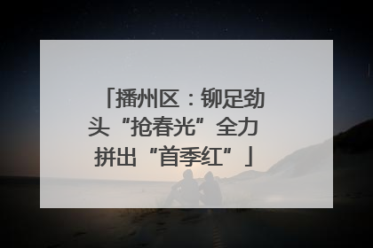 播州区：铆足劲头“抢春光”全力拼出“首季红”