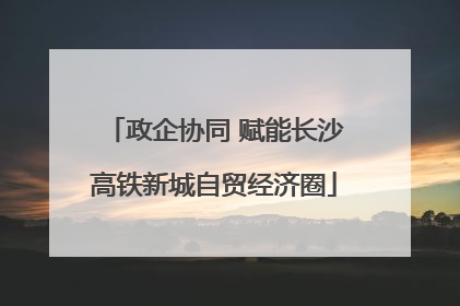 政企协同 赋能长沙高铁新城自贸经济圈
